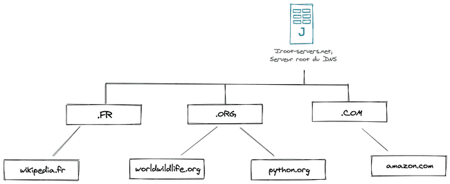 Hiérarchie des serveurs DNS et TDL